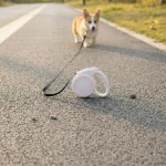 Retractable Dog Leash 3M/5M, Ergonomic Anti-Slip Handle Auto Lock Pet Walking Leash for Small Medium Dogs, Durable Polyester Tape, Night Safe Fluorescent Version Optional - Image 3